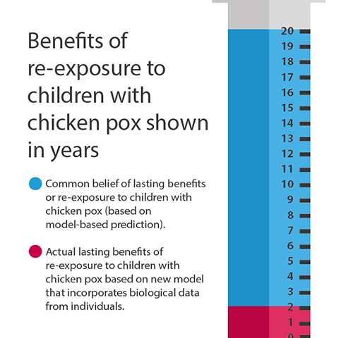 Chickenpox vaccination does increase shingles cases, but mainly in ...