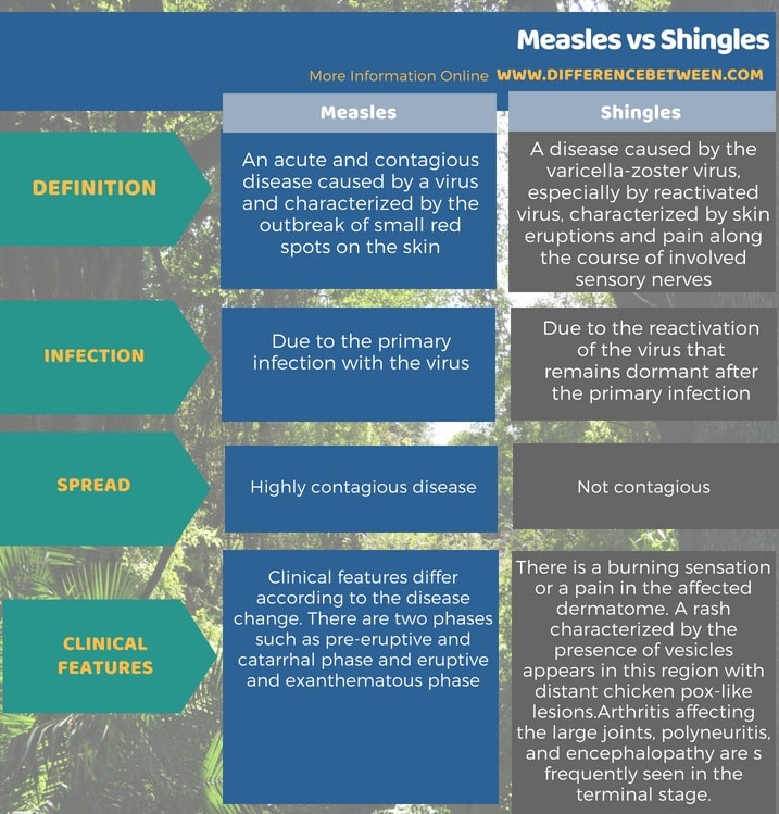 Measles Vs Chicken Pox Difference