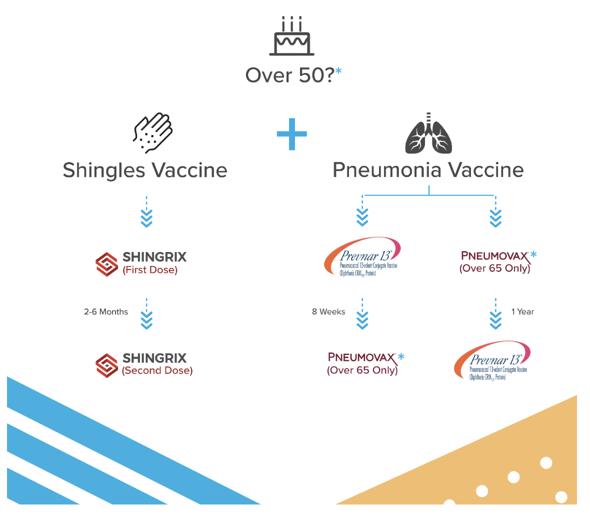 Vaccinations Across the Lifespan â immunize.io