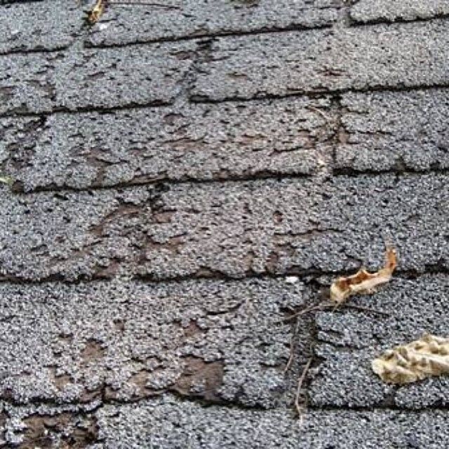 Yeah these shingles are TOAST!!